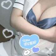 ヒメ日記 2026/01/18 12:24 投稿 はな 熊本しこたまクリニック