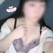 ヒメ日記 2026/02/17 23:53 投稿 はな 熊本しこたまクリニック