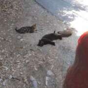 ヒメ日記 2025/08/09 09:01 投稿 いと 多恋人倶楽部（山口）