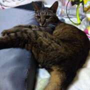 ヒメ日記 2025/10/18 10:36 投稿 いと 多恋人倶楽部（山口）