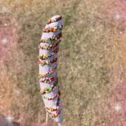 ヒメ日記 2025/08/06 17:26 投稿 てむ 池袋あられ