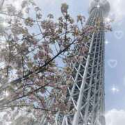 ヒメ日記 2026/04/11 16:15 投稿 てむ 池袋あられ