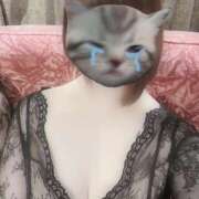 ヒメ日記 2025/04/06 20:00 投稿 はる クラブアリア -CLUB ARIA-