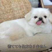 ヒメ日記 2025/08/08 20:43 投稿 はる クラブアリア -CLUB ARIA-