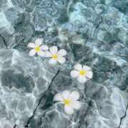 ヒメ日記 2024/12/18 17:17 投稿 六花-RIKKA- luxury aroma 咲