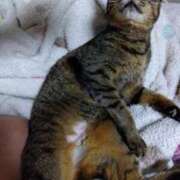 ヒメ日記 2025/06/24 18:44 投稿 いと 多恋人倶楽部　宇部店