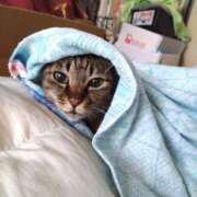 ヒメ日記 2025/07/25 17:36 投稿 いと 多恋人倶楽部　宇部店