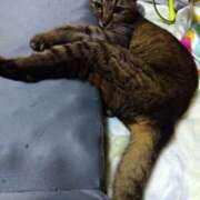 ヒメ日記 2025/10/18 10:38 投稿 いと 多恋人倶楽部　宇部店