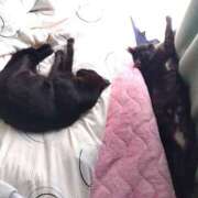 いと おはようございます！ 多恋人倶楽部　宇部店