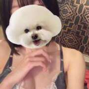 ヒメ日記 2025/04/11 11:26 投稿 なぎ 道玄坂クリスタル