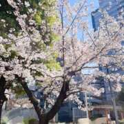 ヒメ日記 2025/04/06 16:01 投稿 なゆ 奥様の実話 梅田店