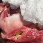 ヒメ日記 2024/12/15 19:03 投稿 ルリカ ファーストレディー