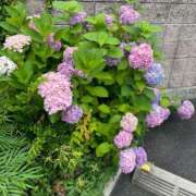 ヒメ日記 2025/06/14 07:33 投稿 ひめあ The White