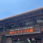 ヒメ日記 2025/11/02 17:30 投稿 ひめあ The White