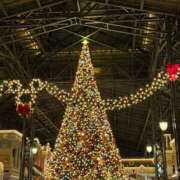 ヒメ日記 2025/11/15 12:28 投稿 ひめあ The White