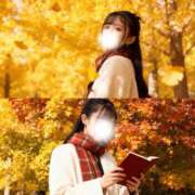 ヒメ日記 2025/12/02 08:57 投稿 ひめあ The White