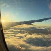 ヒメ日記 2026/01/17 13:44 投稿 ひめあ The White