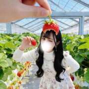 ヒメ日記 2026/03/31 14:01 投稿 ひめあ The White