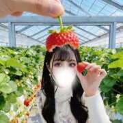 ヒメ日記 2026/04/02 12:02 投稿 ひめあ The White