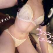 ヒメ日記 2026/04/09 16:08 投稿 ひめあ The White