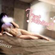 ヒメ日記 2026/04/13 22:01 投稿 ひめあ The White