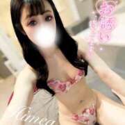 ヒメ日記 2026/04/29 12:45 投稿 ひめあ The White