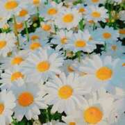 ヒメ日記 2025/10/11 20:55 投稿 高橋みく★ elumo(エルモ)