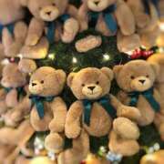 ヒメ日記 2025/11/29 17:53 投稿 高橋みく★ elumo(エルモ)