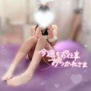 ヒメ日記 2024/12/27 16:35 投稿 平井ありさ★ elumo(エルモ)