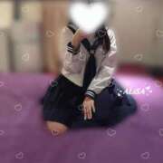 ヒメ日記 2025/04/23 08:07 投稿 平井ありさ★ elumo(エルモ)