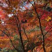 ヒメ日記 2025/12/03 19:33 投稿 沖田もか★ elumo(エルモ)