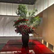 ヒメ日記 2026/02/26 06:13 投稿 春咲さな★ elumo(エルモ)