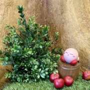 たまき たまき（スピード梅田店） スピード梅田店