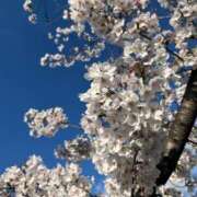 ヒメ日記 2025/04/12 16:00 投稿 松木まみ 洗体アカスリとHなスパのお店