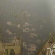 ヒメ日記 2024/12/12 19:38 投稿 長谷川ゆい Alice池袋