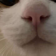 ヒメ日記 2024/12/14 15:27 投稿 長谷川ゆい Alice池袋