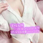 ヒメ日記 2025/06/07 00:08 投稿 ひな ふわふわコレクション