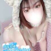 ヒメ日記 2026/04/23 18:14 投稿 ひな ふわふわコレクション