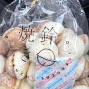 ヒメ日記 2025/02/24 10:19 投稿 えりか FORTE