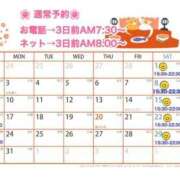 ヒメ日記 2025/03/13 00:09 投稿 えりか FORTE