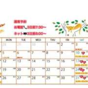 ヒメ日記 2025/04/18 06:29 投稿 えりか FORTE