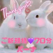 ヒメ日記 2024/12/19 13:55 投稿 むらさき(奥様) 姫マーケット