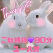 ヒメ日記 2024/12/21 07:35 投稿 むらさき(奥様) 姫マーケット