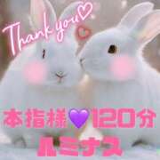 ヒメ日記 2024/12/23 11:55 投稿 むらさき(奥様) 姫マーケット