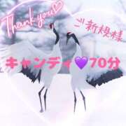 ヒメ日記 2025/01/10 17:15 投稿 むらさき(奥様) 姫マーケット