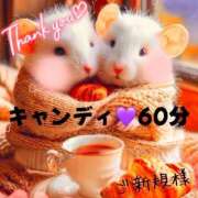 ヒメ日記 2025/01/18 02:05 投稿 むらさき(奥様) 姫マーケット