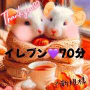 ヒメ日記 2025/01/18 02:25 投稿 むらさき(奥様) 姫マーケット