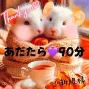 ヒメ日記 2025/01/18 02:45 投稿 むらさき(奥様) 姫マーケット