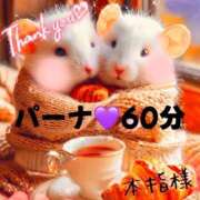 ヒメ日記 2025/01/18 03:05 投稿 むらさき(奥様) 姫マーケット