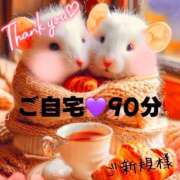 ヒメ日記 2025/01/19 01:45 投稿 むらさき(奥様) 姫マーケット